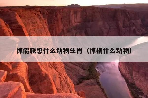 惊能联想什么动物生肖（惊指什么动物）