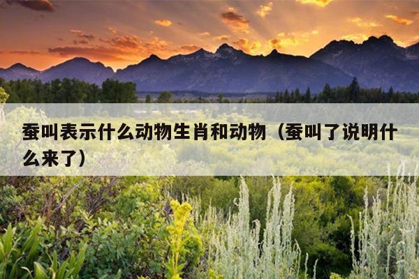蚕叫表示什么动物生肖和动物（蚕叫了说明什么来了）