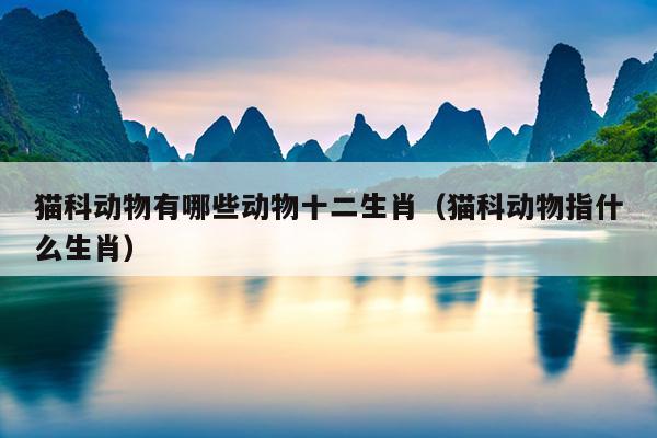 猫科动物有哪些动物十二生肖（猫科动物指什么生肖）
