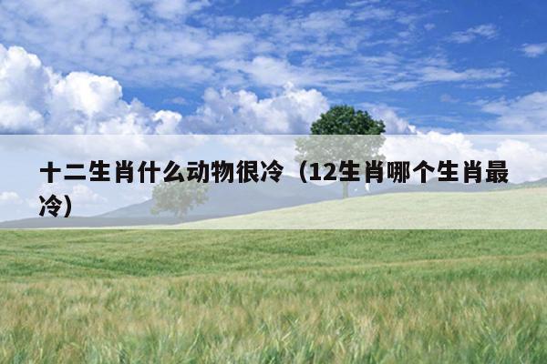十二生肖什么动物很冷（12生肖哪个生肖最冷）