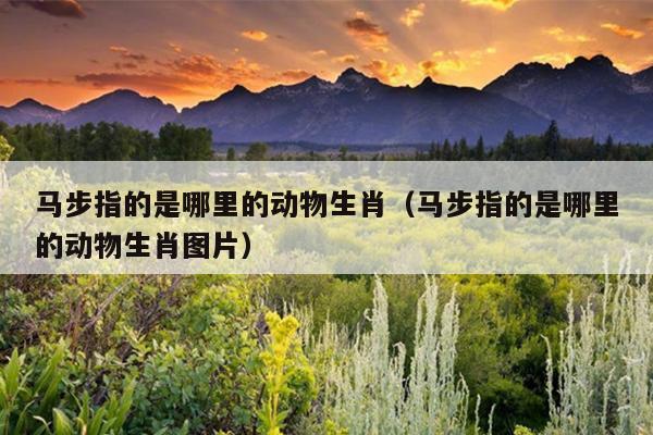 马步指的是哪里的动物生肖（马步指的是哪里的动物生肖图片）