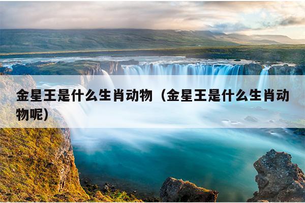 金星王是什么生肖动物（金星王是什么生肖动物呢）