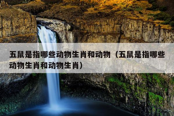 五鼠是指哪些动物生肖和动物（五鼠是指哪些动物生肖和动物生肖）