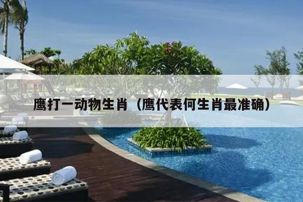 鹰打一动物生肖（鹰代表何生肖最准确）