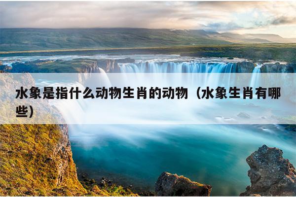 水象是指什么动物生肖的动物（水象生肖有哪些）