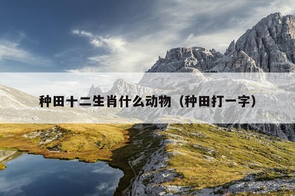 种田十二生肖什么动物（种田打一字）