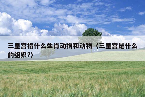 三皇宫指什么生肖动物和动物（三皇宫是什么的组织?）