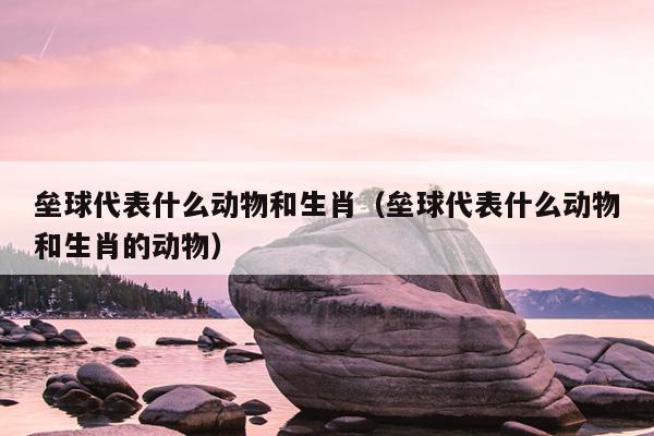 垒球代表什么动物和生肖（垒球代表什么动物和生肖的动物）