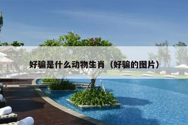 好骗是什么动物生肖（好骗的图片）