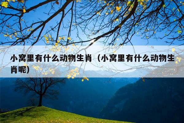 小窝里有什么动物生肖（小窝里有什么动物生肖呢）