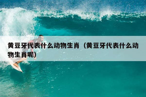 黄豆牙代表什么动物生肖（黄豆牙代表什么动物生肖呢）