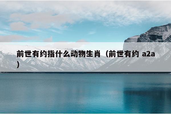 前世有约指什么动物生肖（前世有约 a2a）