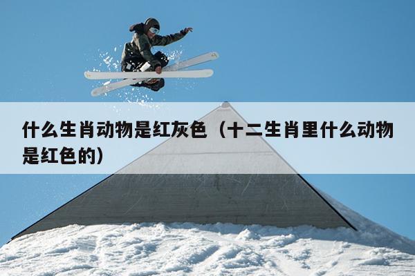 什么生肖动物是红灰色（十二生肖里什么动物是红色的）