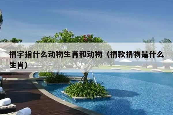 捐字指什么动物生肖和动物（捐款捐物是什么生肖）
