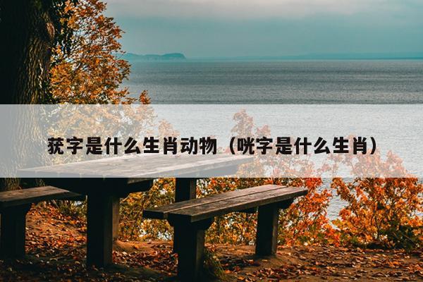 莸字是什么生肖动物（咣字是什么生肖）