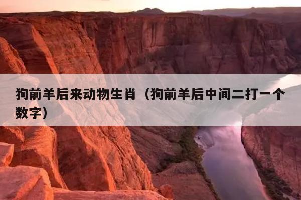 狗前羊后来动物生肖（狗前羊后中间二打一个数字）
