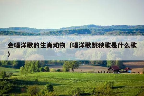 会唱洋歌的生肖动物（唱洋歌跳秧歌是什么歌）