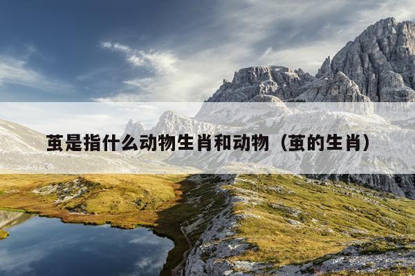 茧是指什么动物生肖和动物（茧的生肖）