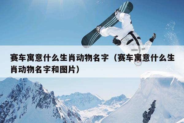 赛车寓意什么生肖动物名字（赛车寓意什么生肖动物名字和图片）