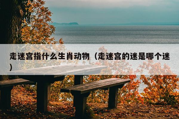 走迷宫指什么生肖动物（走迷宫的迷是哪个迷）