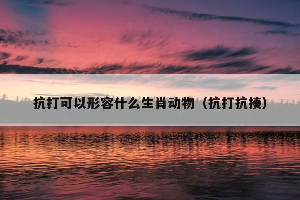 抗打可以形容什么生肖动物（抗打抗揍）