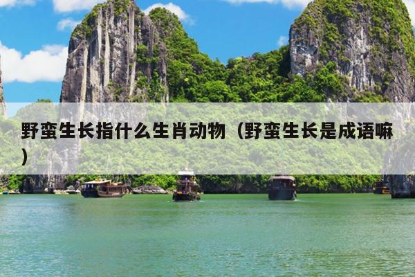 野蛮生长指什么生肖动物（野蛮生长是成语嘛）