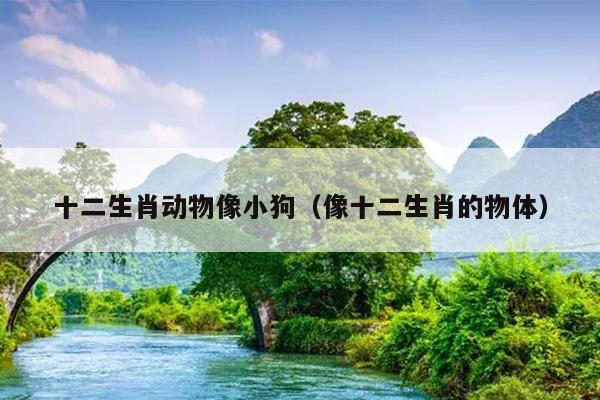 十二生肖动物像小狗（像十二生肖的物体）