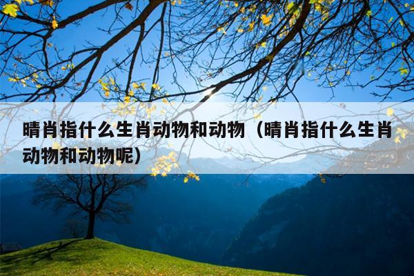 晴肖指什么生肖动物和动物（晴肖指什么生肖动物和动物呢）