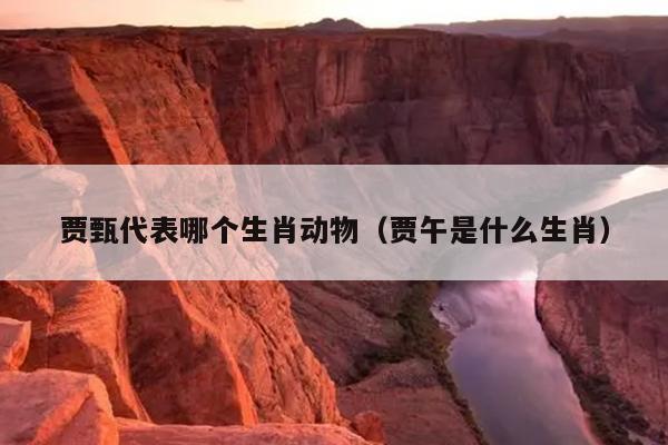贾甄代表哪个生肖动物（贾午是什么生肖）
