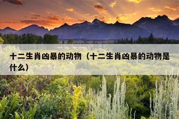 十二生肖凶暴的动物（十二生肖凶暴的动物是什么）