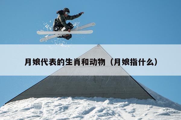 月娘代表的生肖和动物（月娘指什么）