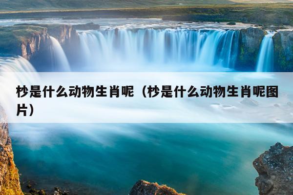 杪是什么动物生肖呢（杪是什么动物生肖呢图片）
