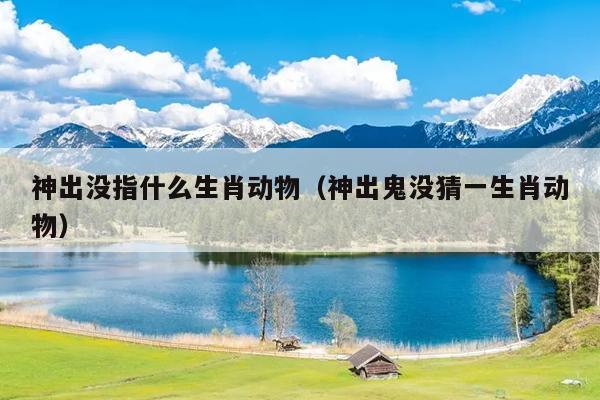 神出没指什么生肖动物（神出鬼没猜一生肖动物）