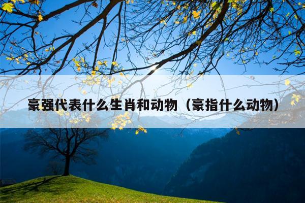 豪强代表什么生肖和动物（豪指什么动物）