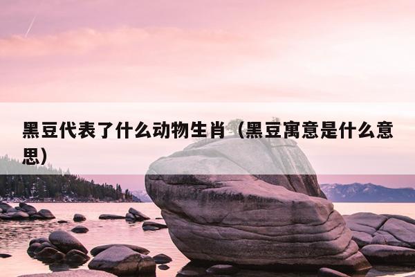 黑豆代表了什么动物生肖（黑豆寓意是什么意思）