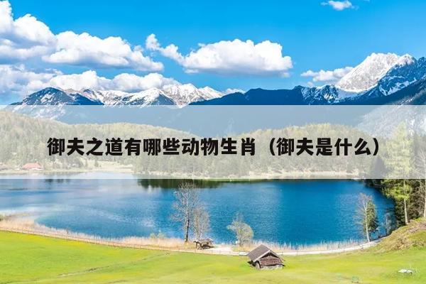 御夫之道有哪些动物生肖（御夫是什么）