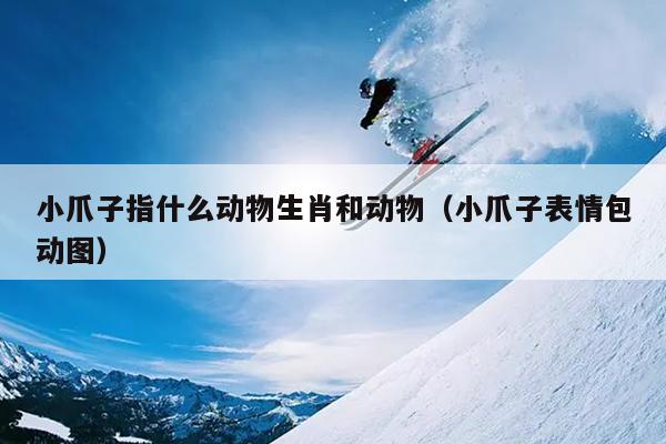 小爪子指什么动物生肖和动物（小爪子表情包动图）