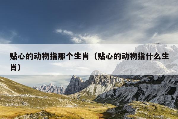 贴心的动物指那个生肖（贴心的动物指什么生肖）