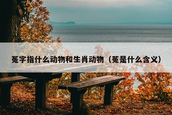 菟字指什么动物和生肖动物（菟是什么含义）