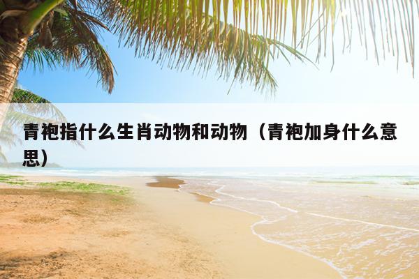 青袍指什么生肖动物和动物（青袍加身什么意思）