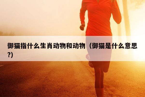 御猫指什么生肖动物和动物（御猫是什么意思?）