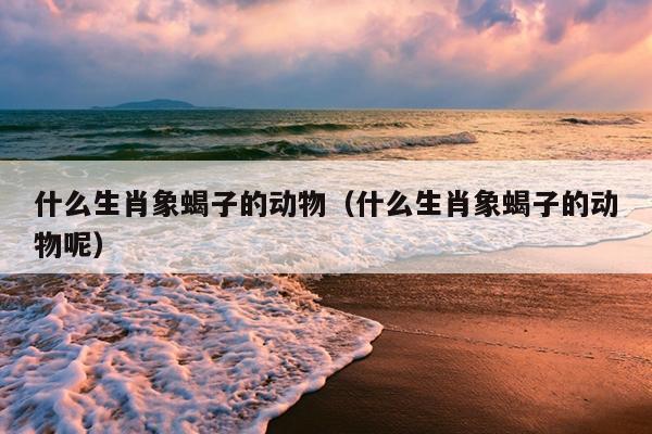 什么生肖象蝎子的动物（什么生肖象蝎子的动物呢）