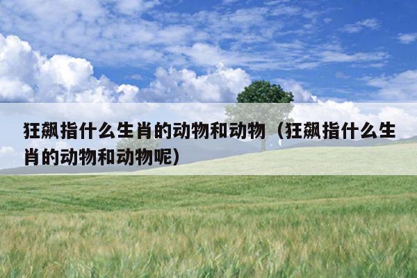 狂飙指什么生肖的动物和动物（狂飙指什么生肖的动物和动物呢）