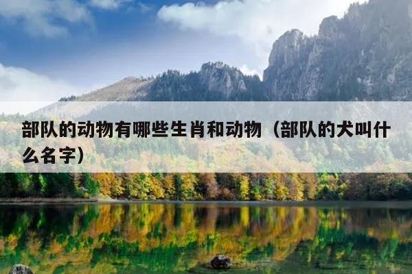 部队的动物有哪些生肖和动物（部队的犬叫什么名字）