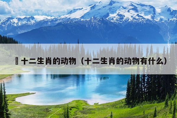 哋十二生肖的动物（十二生肖的动物有什么）