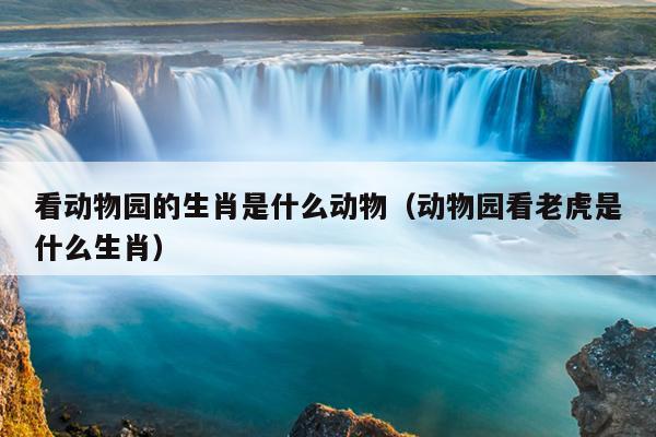 看动物园的生肖是什么动物（动物园看老虎是什么生肖）