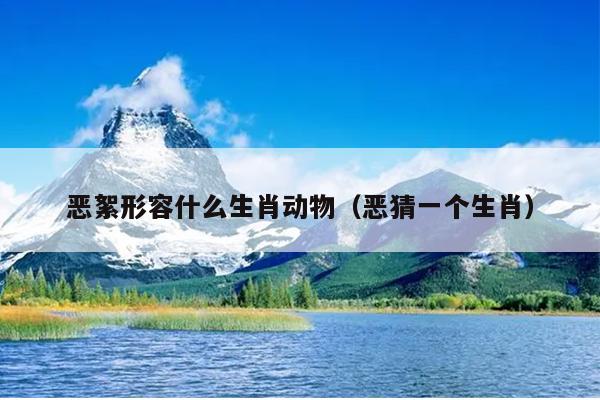恶絮形容什么生肖动物（恶猜一个生肖）