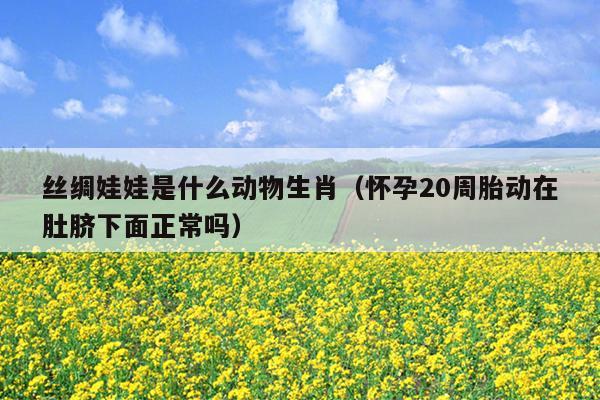 丝绸娃娃是什么动物生肖（怀孕20周胎动在肚脐下面正常吗）
