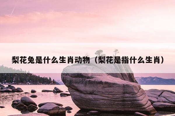 梨花兔是什么生肖动物（梨花是指什么生肖）