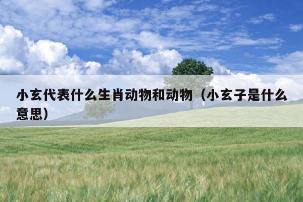 小玄代表什么生肖动物和动物（小玄子是什么意思）